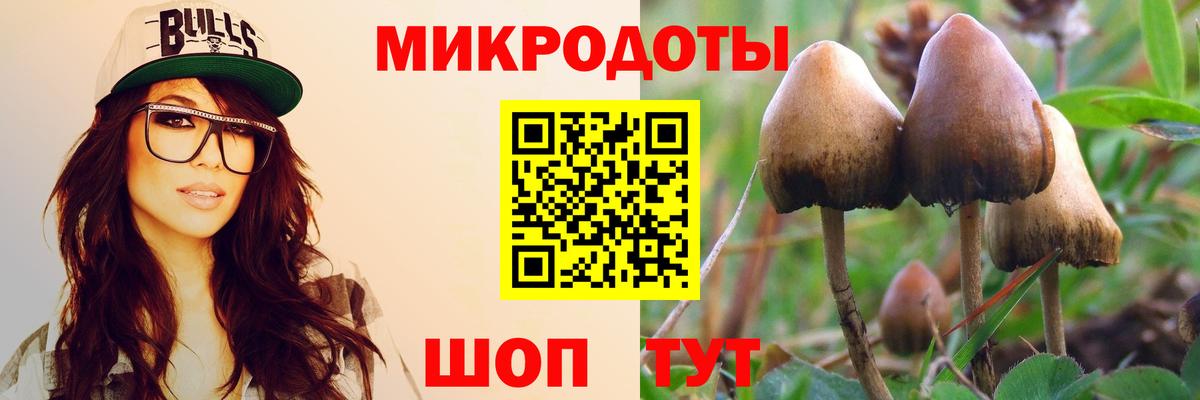Галлюциногенные грибы MAGIC MUSHROOMS Сергиев Посад